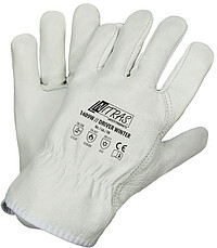 Rindvollleder-​Handschuhe DRIVER WINTER, Gr. 10